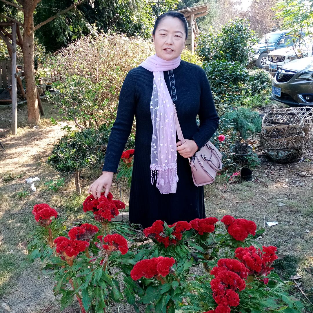 杨厚华