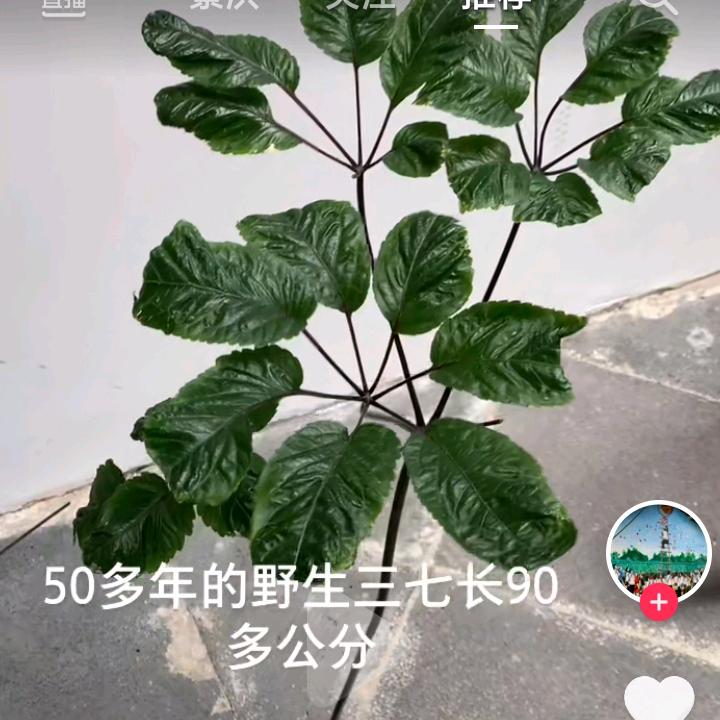呵呵