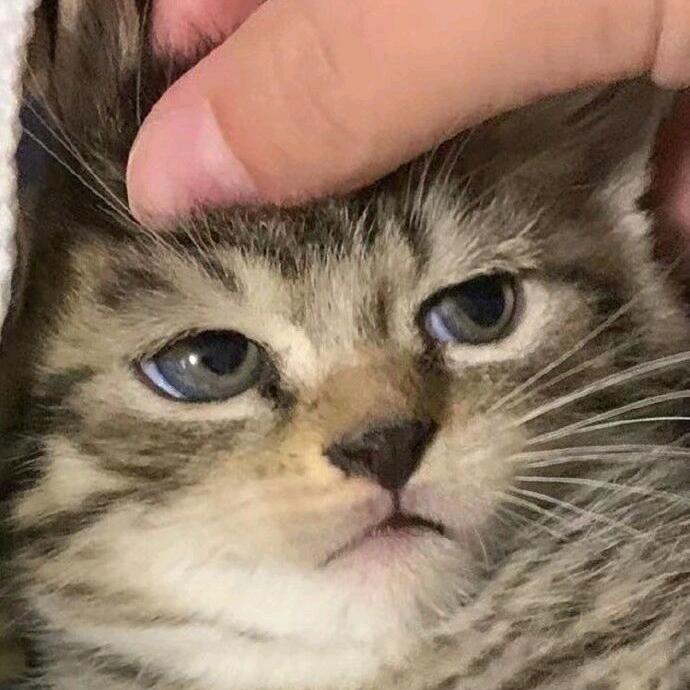 木头马尾