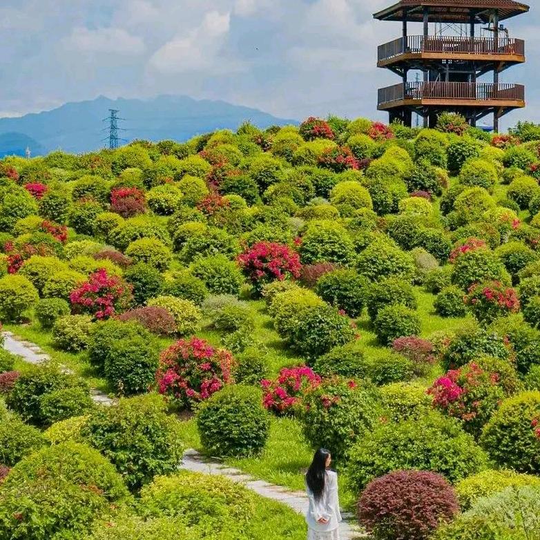 靓蕾日用品商城个体店