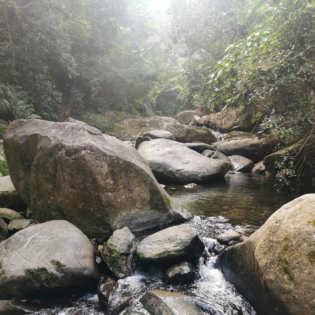 深圳市鹏腾电子发展有限公司