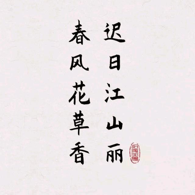 天义茶—包装