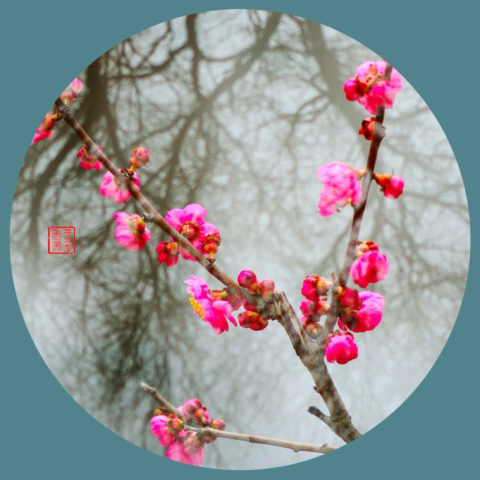 阿美