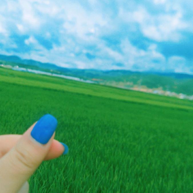 落叶知秋🍃