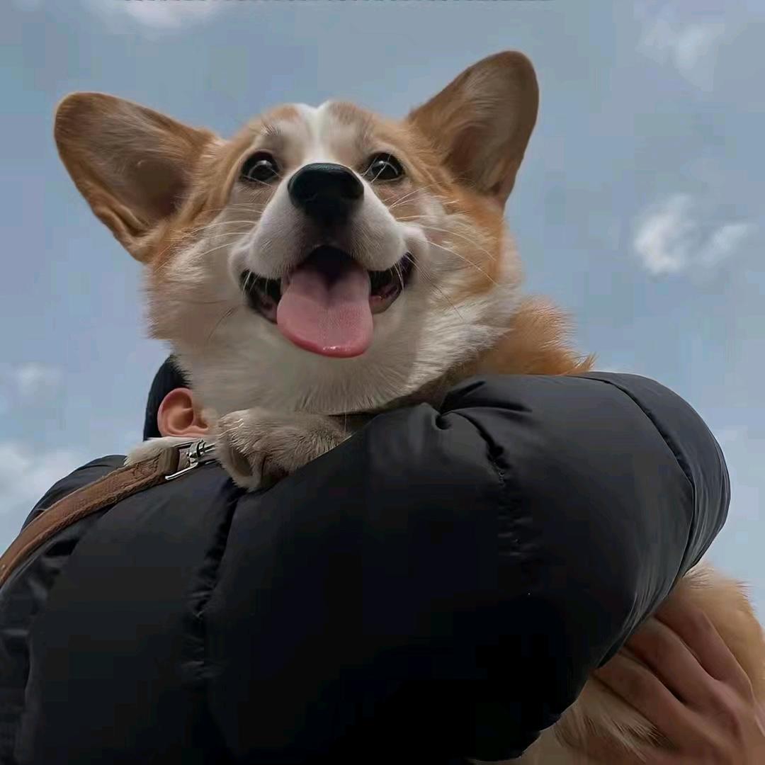 周一