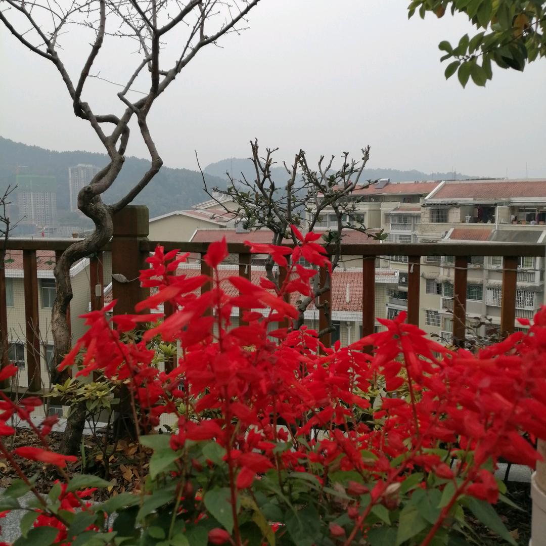 蒲三