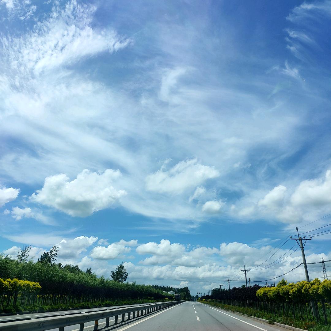 乌鸡哥