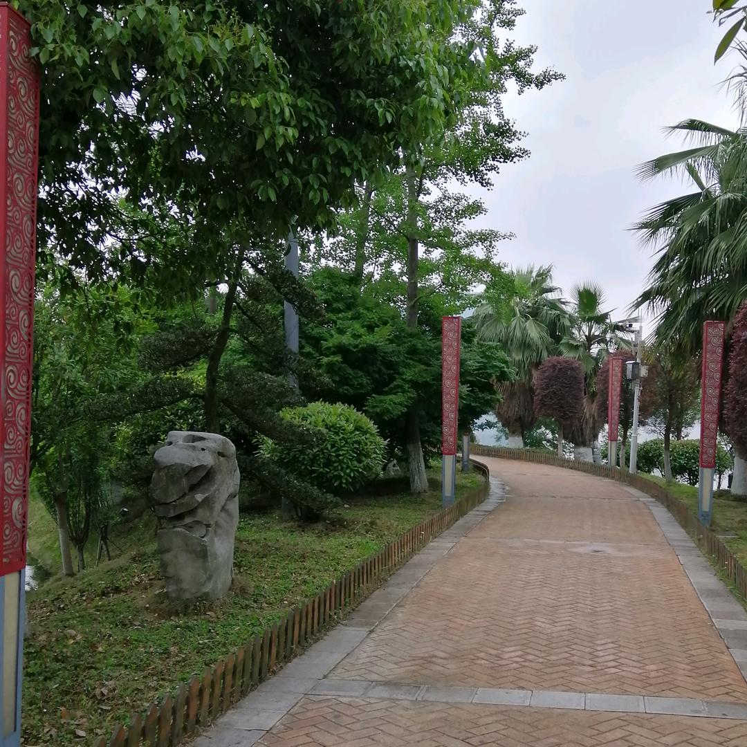 阳