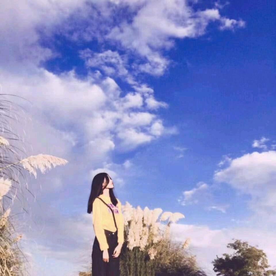 从头来过,不要连赞,连赞拉黑