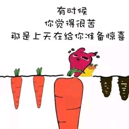 捷润橡塑🌸💋炫彩儿