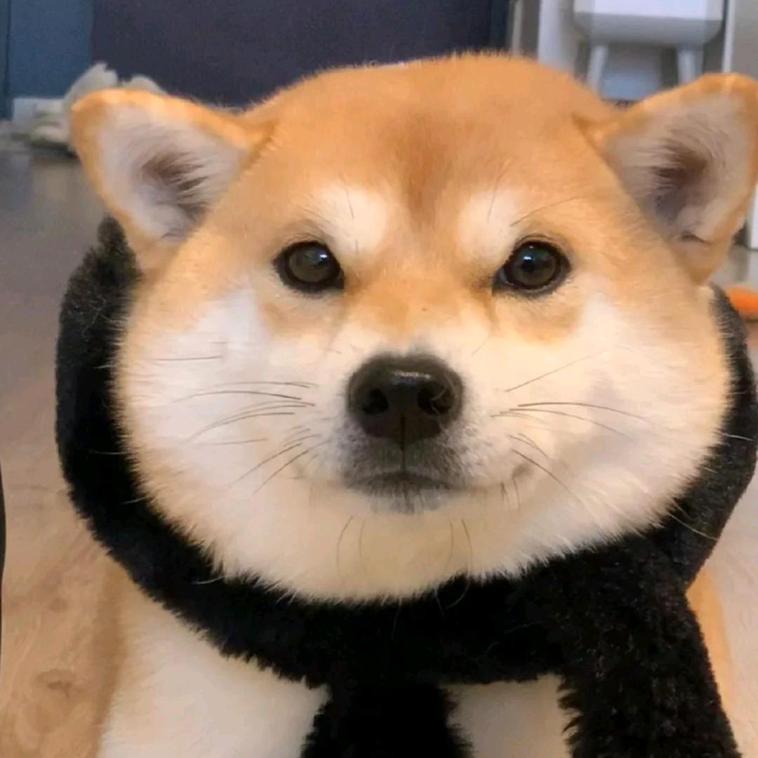 氼乚