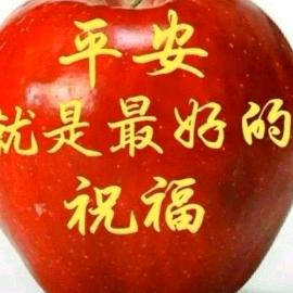 木头—楠头像