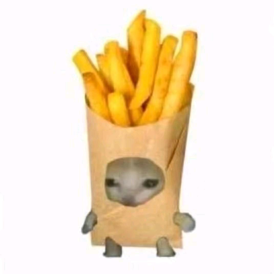 薯条猫ฅ