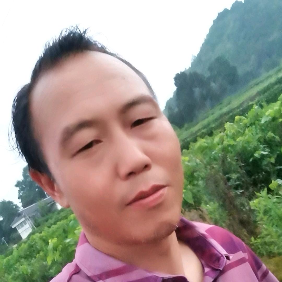 苦中乐（李哥）