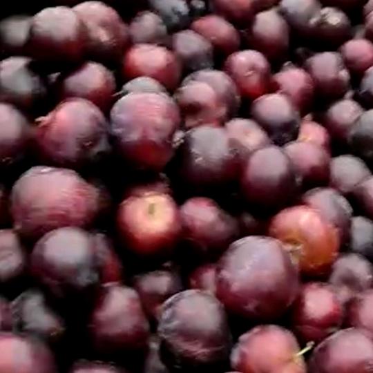 沉默是金