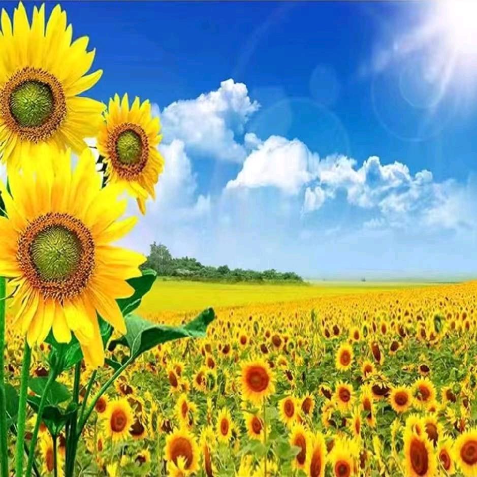 春  东北柴火手工煎饼