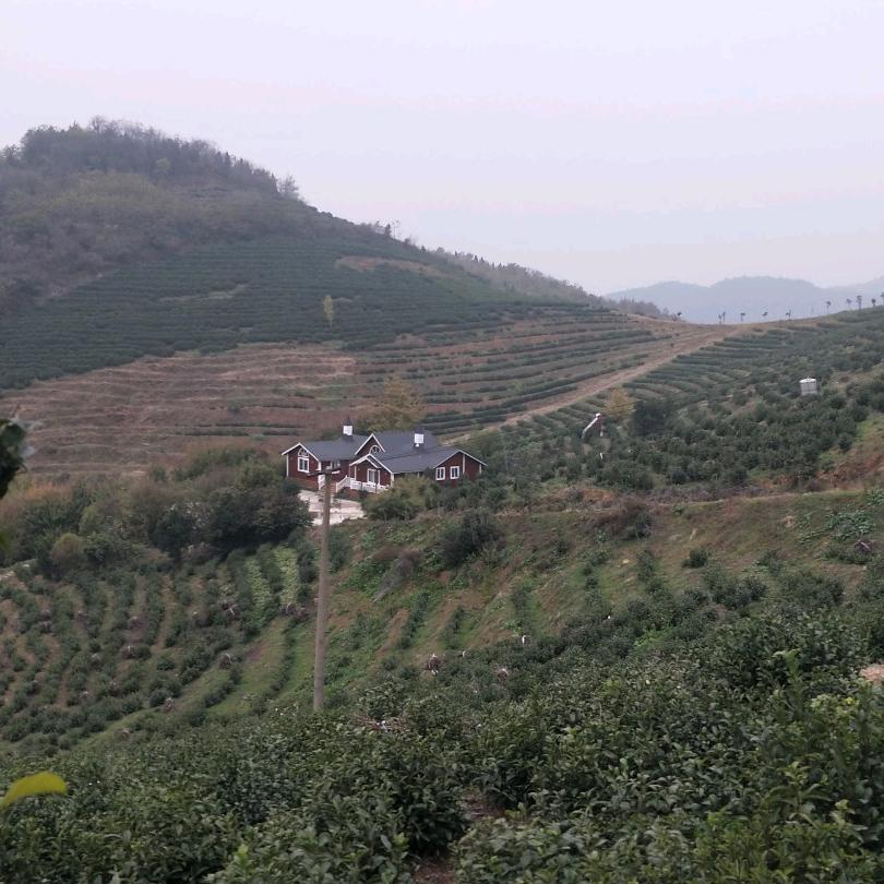 美丽唐僧村