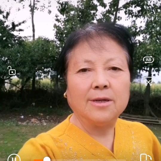 王翠琴
