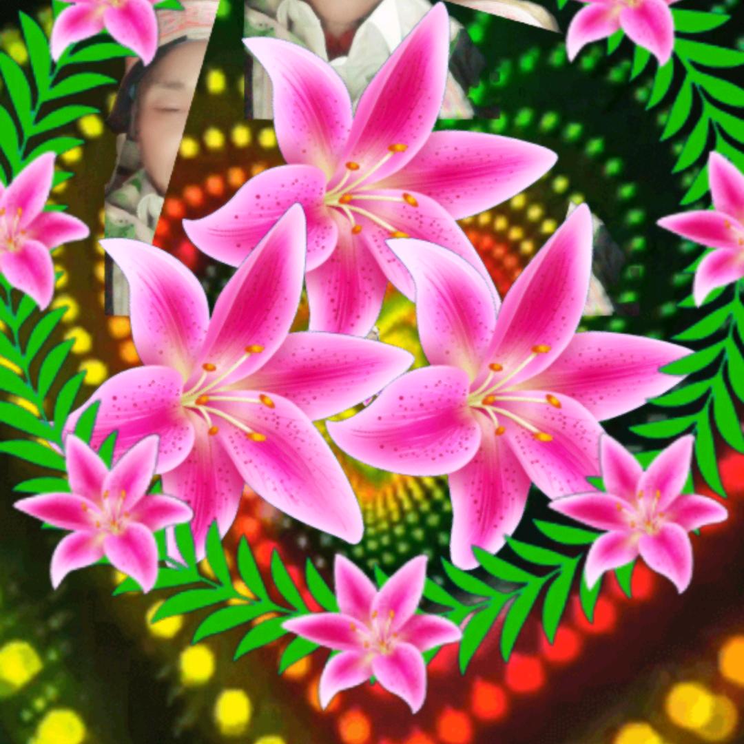 杨家