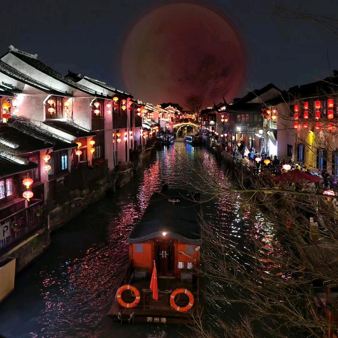 龍冩