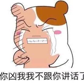 木槿小小