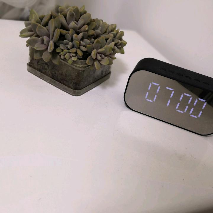 七月的蜗牛🐌