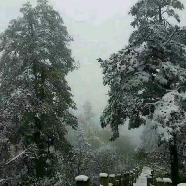 下雪天