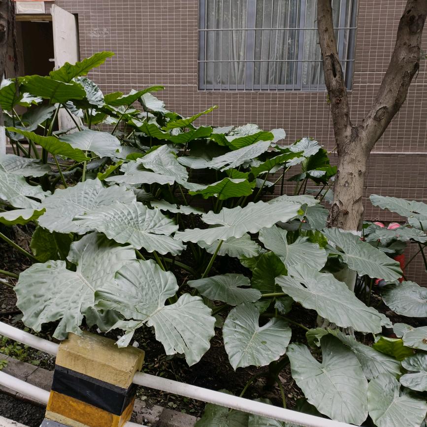相遇
