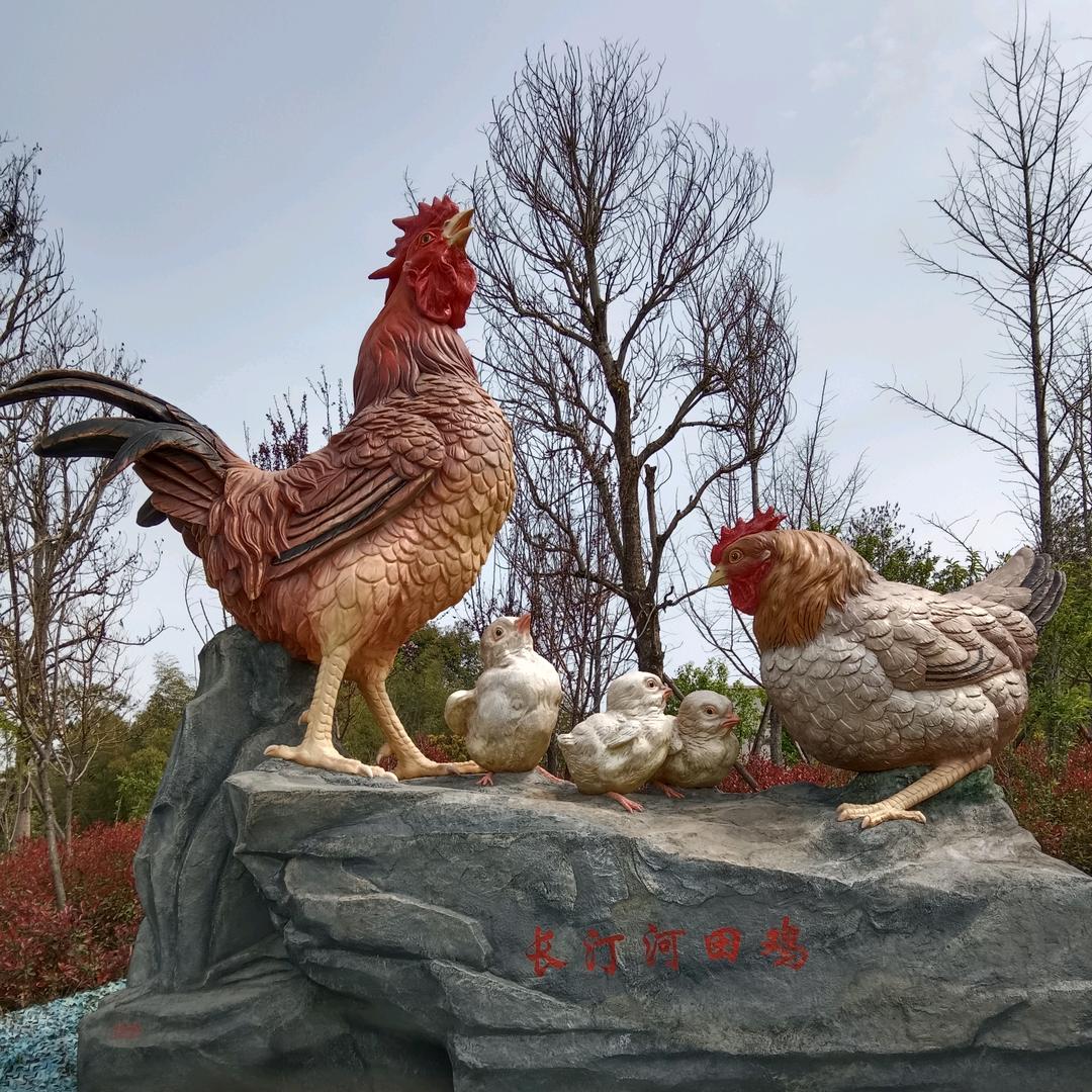 小翁河田老阉鸡批发