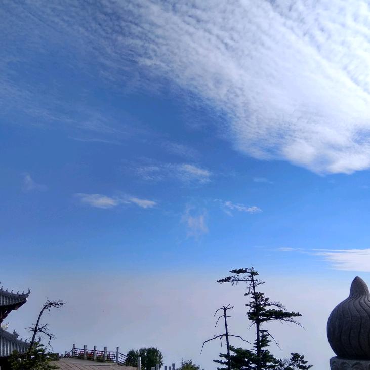 闲来垂钓碧溪上