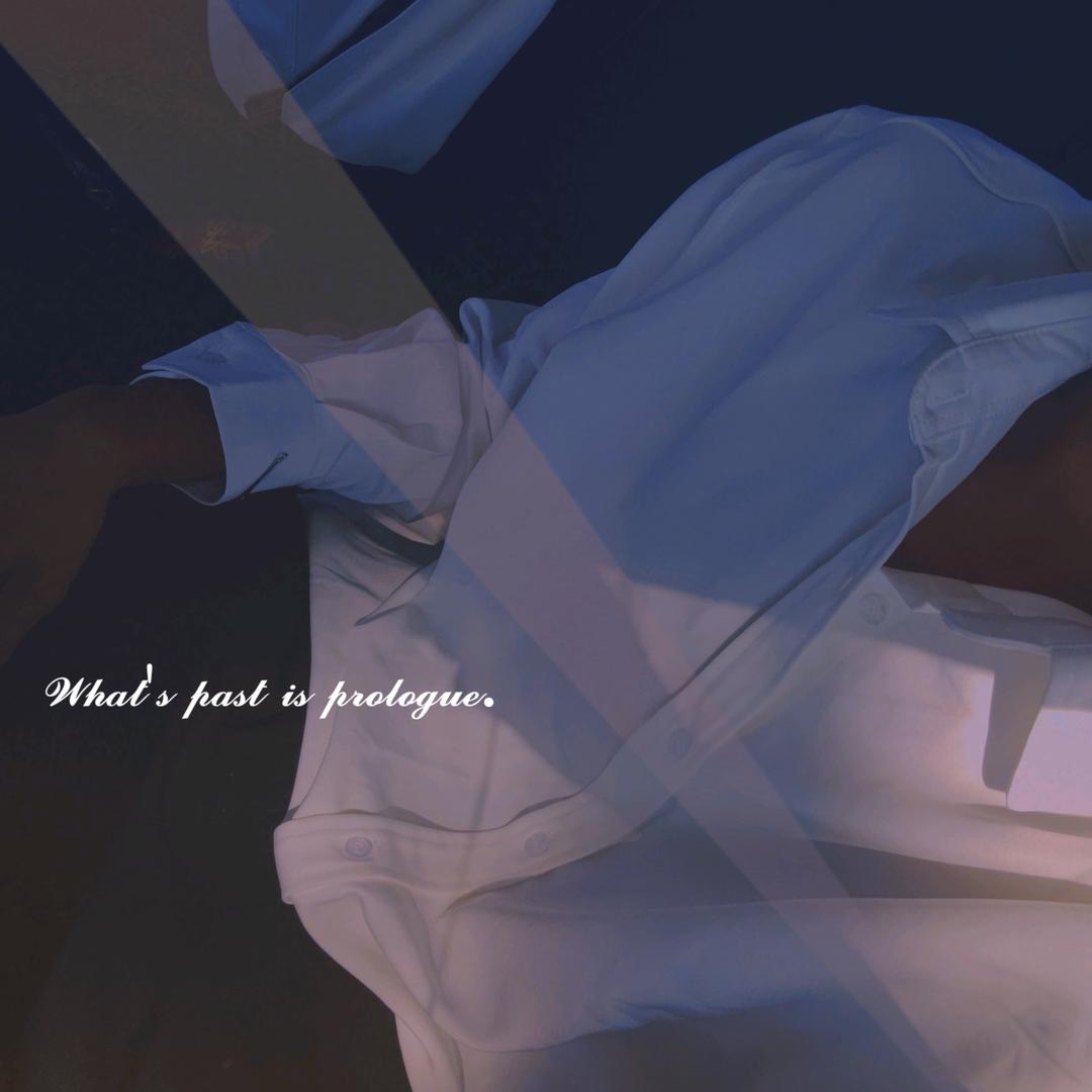 养一只月亮ꦿૢ᭄