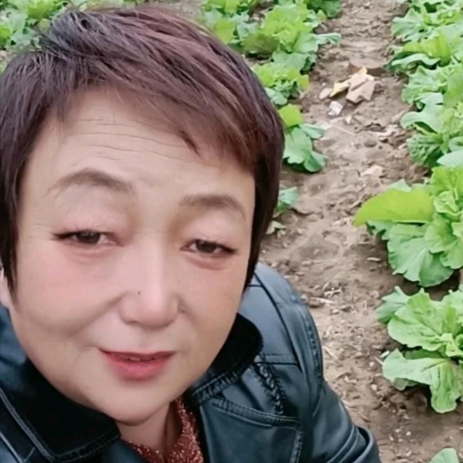 白菜土豆代收