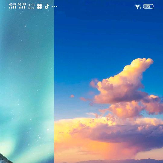 一枝花.