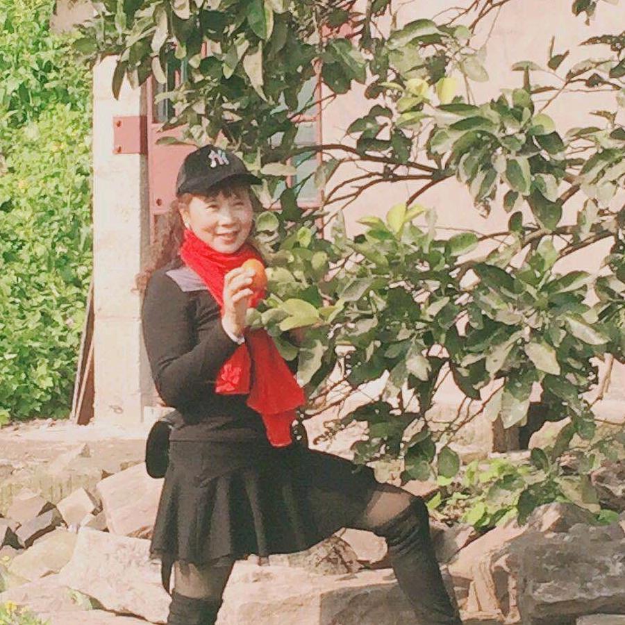 琴花