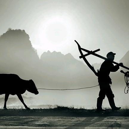 我是人民的孙子