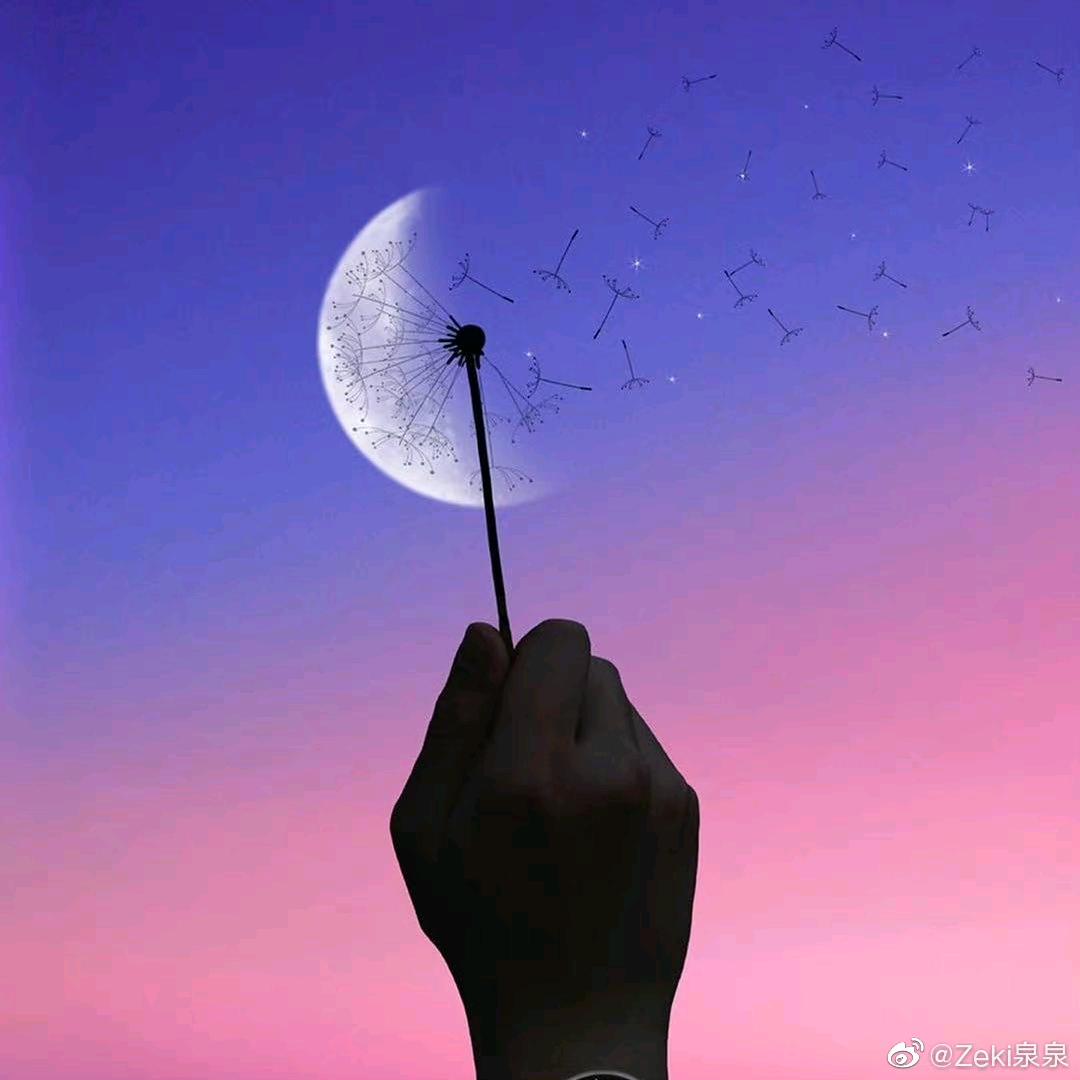 亦舒姐姐要努力！