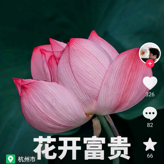 秦明菊