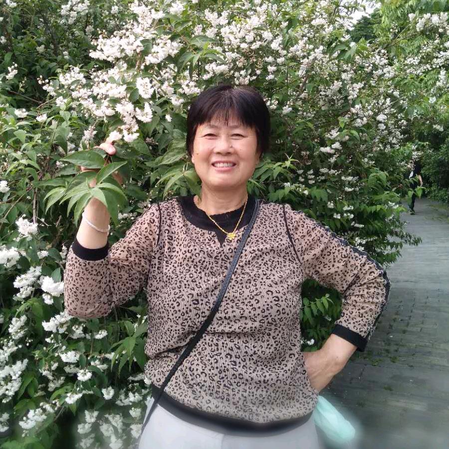 新梅