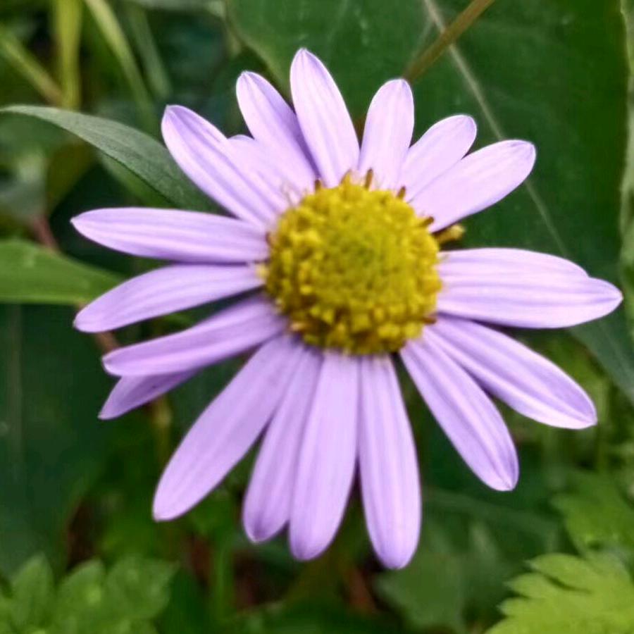 过好自己就行🥰