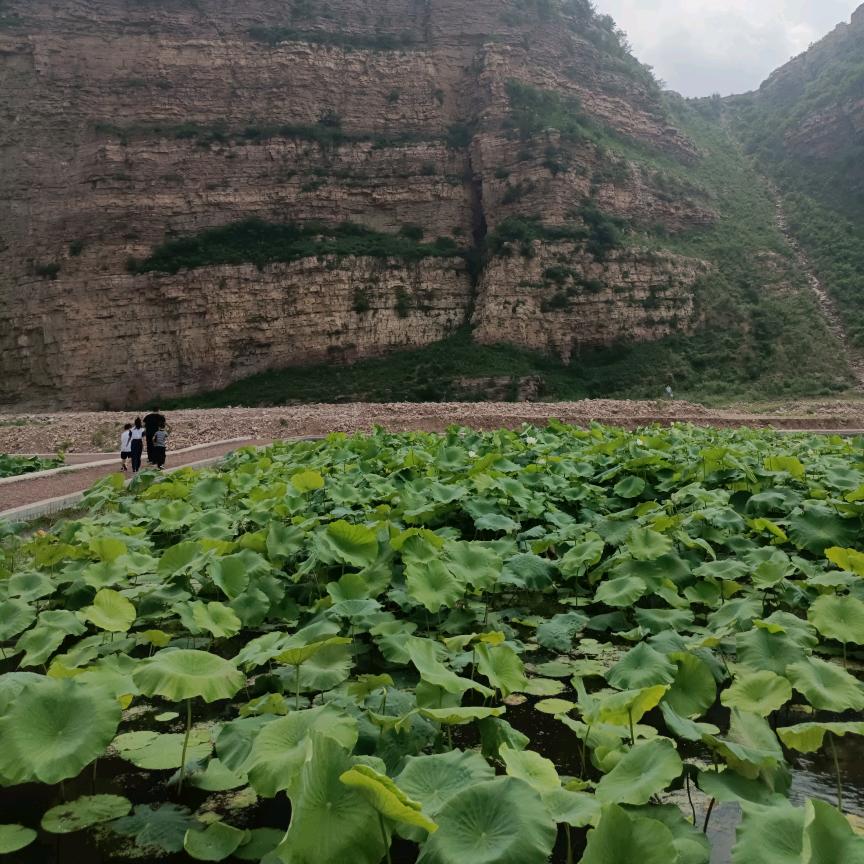 无解1124