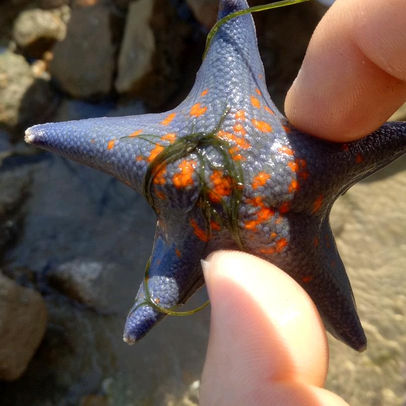 小刘不干胶、书本等等