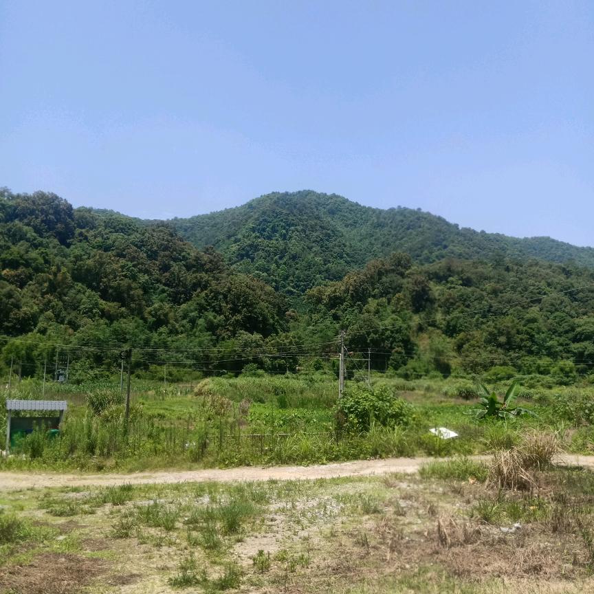 英德市師兵拥护将帥扶持