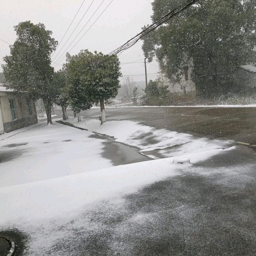 矮哥哥红白喜事出租。