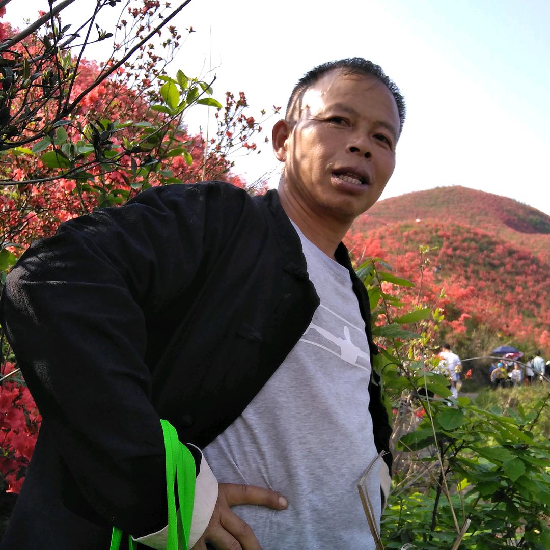 蜜蜂王