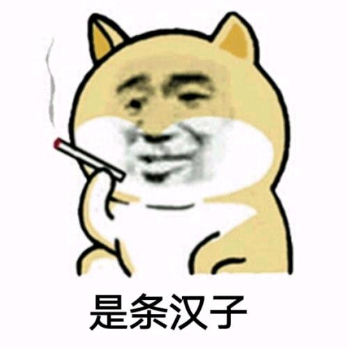 我在人间凑数的日子