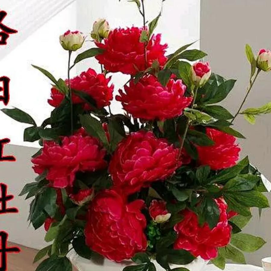 用户8751262868199珍惜