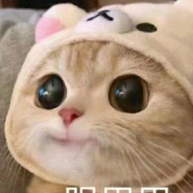 素心如莲