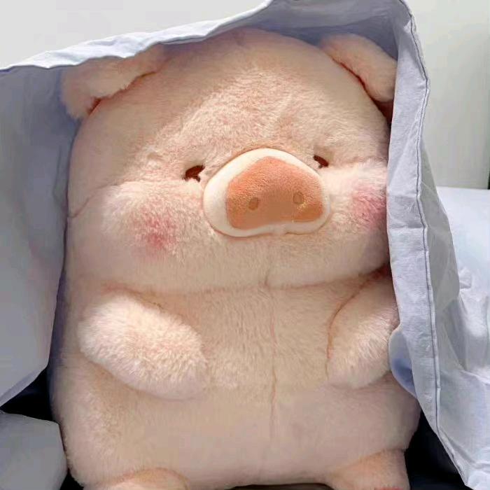 李记碎冰冰💫