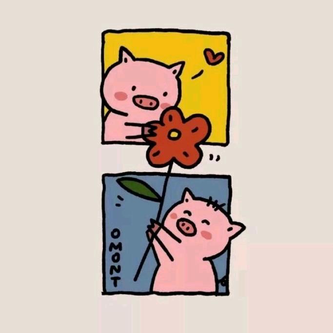 fafa🌸