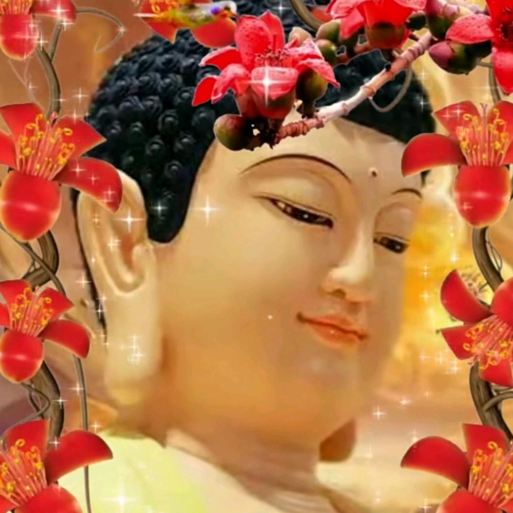 佛心佛缘佛静佛医